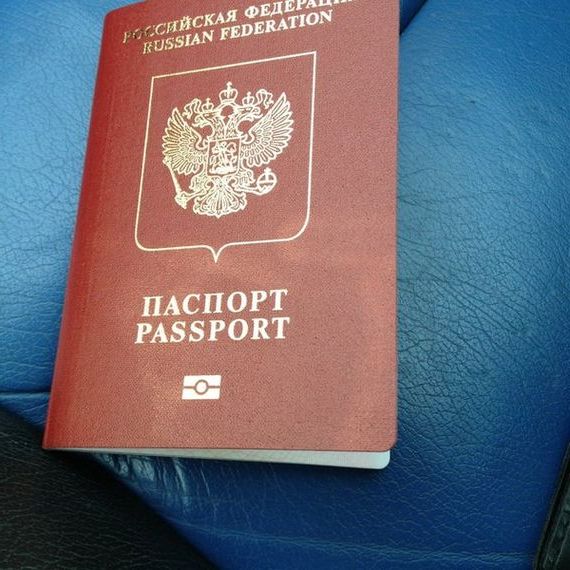 прописка в Стародубе